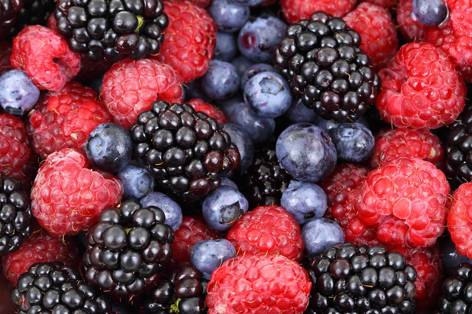 Frutas y verduras esenciales para el verano – The Culinary Pro