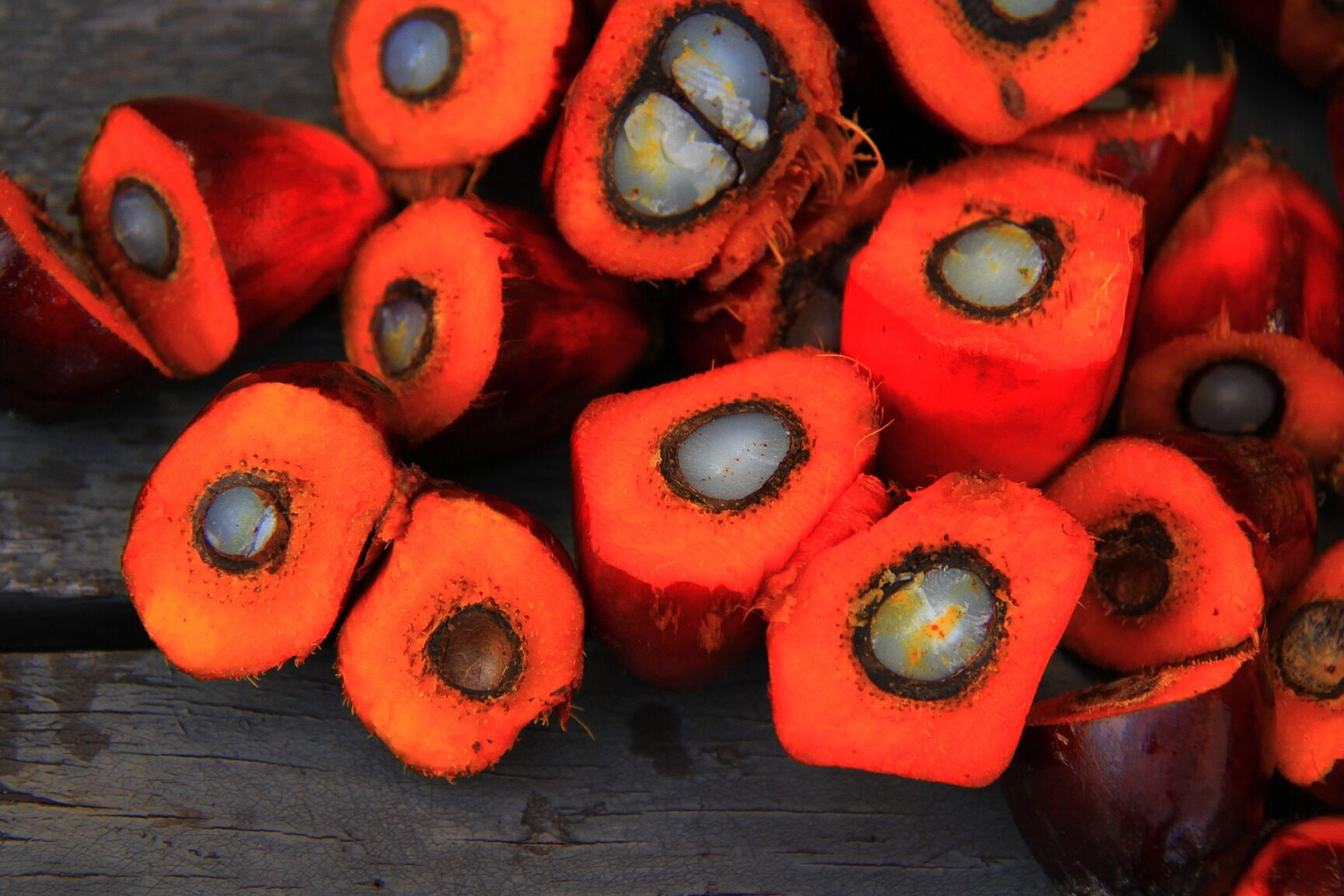 https://www.theculinarypro.com/the-future-of-food https://www.theculinarypro.com/the-future-of-food