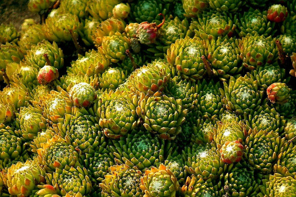 Ejemplo de lista de tareas diarias para asistente de recepción: turno de mañana